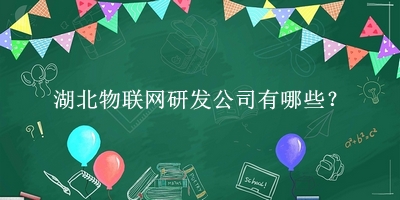 湖北物聯網研發公司
